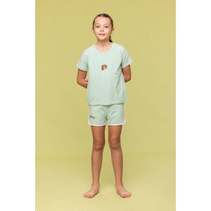 Woody pyjama meisjes/dames - lichtroze/groen gestreept - leeuw - 241-10-PZG-Z/912 - maat 176