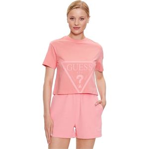 Classic logo triangle