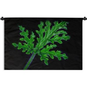 Wandkleed Bladeren op een zwarte achtergrond - Apart groen blad op zwarte achtergrond Wandkleed katoen 60x40 cm - Wandtapijt met foto