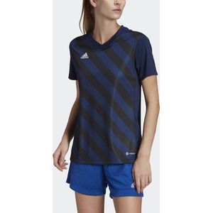 adidas Performance Entrada Graphic Voetbalshirt - Dames - Blauw
