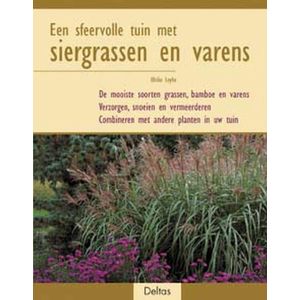 Een sfeervolle tuin met siergrassen en varens