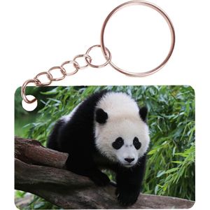 Sleutelhanger 6x4cm - Panda Beer op Boom