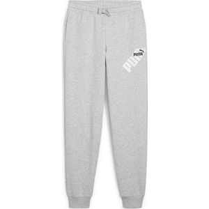 PUMA PUMA POWER Graphic Sweatpants TR cl B FALSE Broek - Light Gray Heather