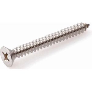 Plaatschroef Pk Philips RVS A2 3.5x38mm - 200 stuks