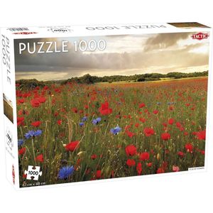 Puzzel Around the World Northern Stars: Field of Flowers - 1000 stukjes