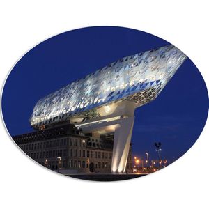 WallClassics - PVC Schuimplaat Ovaal - Havenhuis - Antwerpen - 80x60 cm Foto op Ovaal (Met Ophangsysteem)