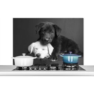 Spatscherm keuken 100x65 cm - Kookplaat achterwand Honden - Puppy - Zwart - Wit - Dieren - Muurbeschermer - Spatwand fornuis - Hoogwaardig aluminium