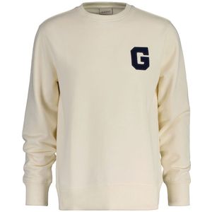 Gant Graphic Sweatshirt Beige Man