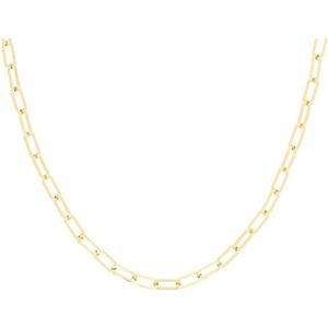 OOZOO Jewellery - goudkleurige ketting met grove schakels - SN-2016