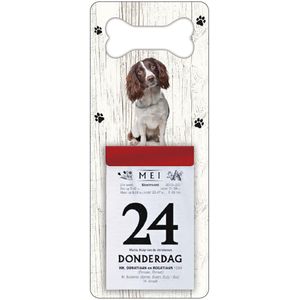 Scheurkalender 2024 Hond: Engelse Springer Spaniel