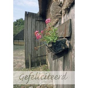 Ansichtkaart 10x15 cm - Gefeliciteerd - met Bijbeltekst - set van 25