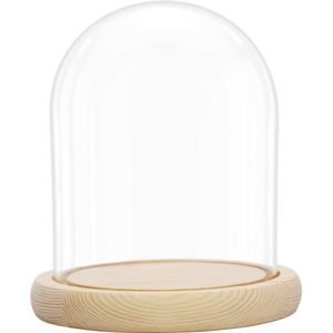 TRANKIELO® - Kristalheldere Glazen Stolp met Onbewerkte Houten Basis – 16.2 cm Hoog – Decoratieve Display voor Verlichting en Antieke Stukken
