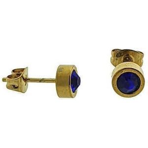 Aramat jewels ® - Ronde zweerknopjes zirkonia donker blauw goudkleurig chirurgisch staal 6mm