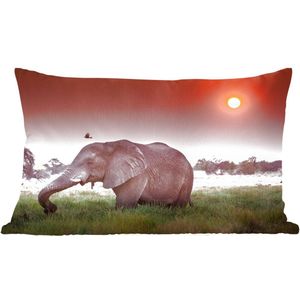 Sierkussens - Kussen - Rode zonsondergang boven een olifant in het gras - 60x40 cm - Kussen van katoen