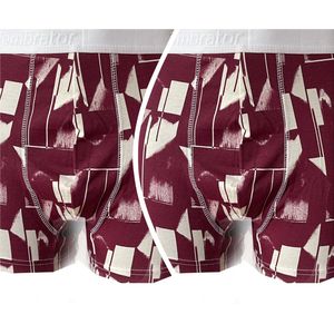 Embrator mannen Boxershorts 2-stuks overall print maat XXL
