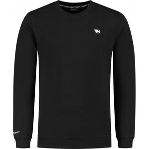 Ballin Amsterdam - Heren Regular fit Sweaters Crewneck LS - Black - Maat M