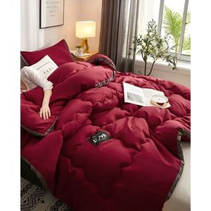 Winterdekbed Dikker Warm Bed Deken Dubbel Bed Hoes Zacht Dekbed Thuis Microfiber Nordic Quilts Met Vulling 200x230cm 4KG Rouge