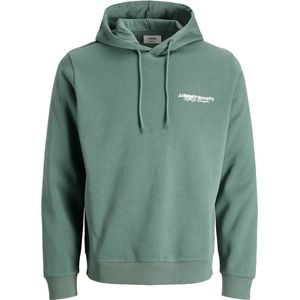 JJ Rebel - JREBZACK - Sweatshirt - Pastelgroen - Capuchon met Trekkoord