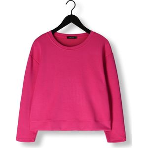 Ydence Sweater Anouschka Truien & vesten Dames - Sweater - Hoodie - Vest- Fuchsia - Maat S