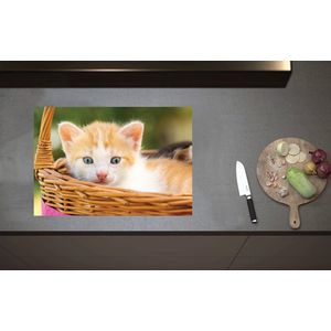 Inductieplaat Beschermer - Kleine Roodharige Kitten in Rieten Mandje - 70x52 cm - 2 mm Dik - Inductie Beschermer van Vinyl