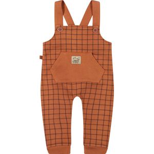 Frogs and Dogs-Tuinbroekje met Checks print -- Bruin - Maat 86