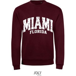 Sweatshirt 2-211 Miami Florida - Drood, xS