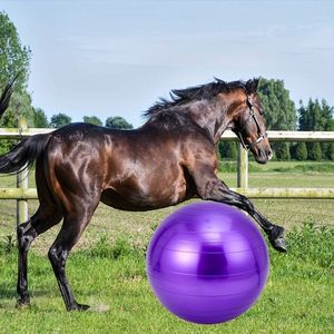 Speelbal paard - grote speelbal voor paarden - paars - 85 cm