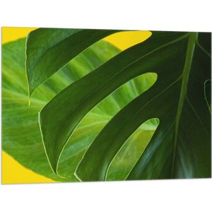 Vlag - Grote Groene Bananenbladeren tegen Okergele Achtergrond - 100x75 cm Foto op Polyester Vlag