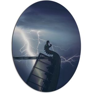 Dibond Ovaal - Vinkingschip met Draak met Bliksem - 51x68 cm Foto op Ovaal (Met Ophangsysteem)