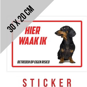 Sticker/ Waakbord Teckel | ""Hier waak ik"" | 30 x 20 cm | Langharige teckel | Waakhond | Hond | Chien | Dog | Betreden op eigen risico | Mijn huisdier | Permanente lijm | Rechthoek | Witte achtergrond | 1 stuk