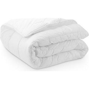 iSleep Silver Comfort 4-Seizoenen Dekbed - Tweepersoons - 200x200 cm - Wit