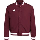 adidas - Dugout Coaches Jacket - Zwart - Jassen