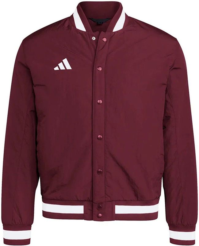 adidas - Dugout Coaches Jacket - Zwart - Jassen