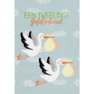 Een tweeling! Van harte gefeliciteerd! Een bijzondere kaart met twee ooienvaars die door de lucht vliegen. Een zeer geschikte kaart om zo te geven of om bij een cadeau te voegen. Een dubbele wenskaart inclusief envelop en in folie verpakt.