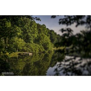 Lensbaby Composer pro II lens met Edge 50 optic - geschikt voor Micro 4/3