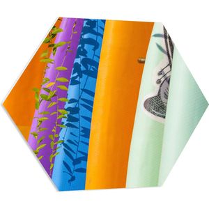 PVC Schuimplaat Hexagon - Rij Verschillende Kleuren Surfboards - 70x60.9 cm Foto op Hexagon (Met Ophangsysteem)