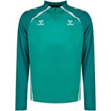 Hummel Real Betis 25/26 Lead 2.0 Sweatshirt Met Halve Rits Groen 2XL Man