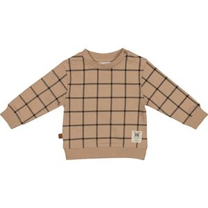 Frogs and Dogs - Playtime Sweater Checks - - Maat 56 -