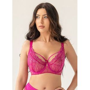 Blush sofy lace Fuchsla 70H