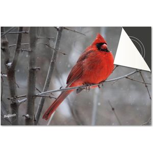Inductie beschermer 90x52 - afdekplaat inductie mat - Dietrix Kookplaat beschermer - DELUXE - Winter-23-Rode Vogel tak