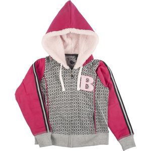 Birds by D-Rak Sweatvest - teddy - roze/grijs - maat 140