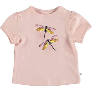 Ducky Beau-Baby Girls Shortsleeve-Chintz rose