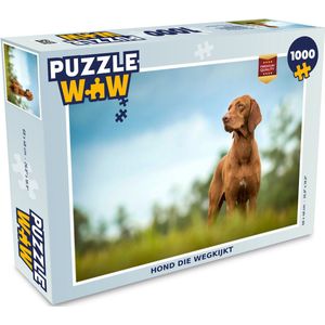 Puzzel Hond die wegkijkt - Legpuzzel - Puzzel 1000 stukjes volwassenen