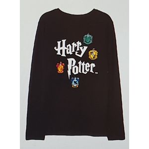 Harry Potter T-Shirt Zwart Maat 116