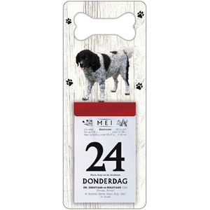 Scheurkalender 2024 Hond: Wetterhoun