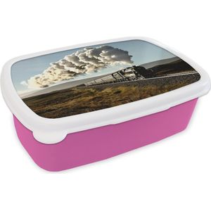 Broodtrommel Roze - Lunchbox - Brooddoos - Een stoomlocomotief die door een robuust landschap rijdt - 18x12x6 cm - Kinderen - Meisje