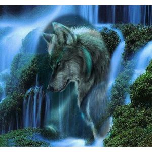 SEOS Shop ® Diamond Painting Volwassenen - Diamond Painting Kinderen - Diamond Painting Pakket Volledig - 5D Wolf en waterval - 30x30 cm