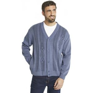 Wollen vest met lange mouwen en V-hals met knopen