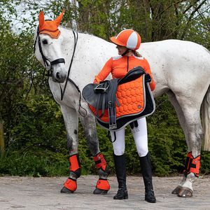 Qhp Beenbeschermers Qhp Eventing Voor Oranje