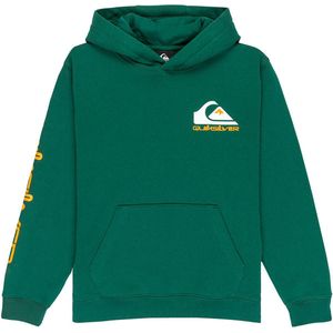 Quiksilver - Omni Logo - Hoodie - Geborsteld - Regular Fit
